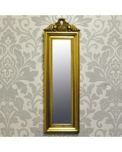 40cm X 10cm Gold Mirror