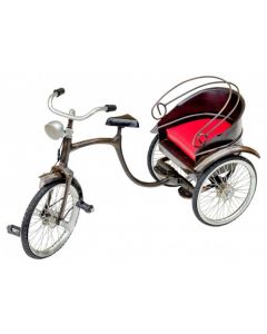 Model Cycle Mandarin Rickshaw