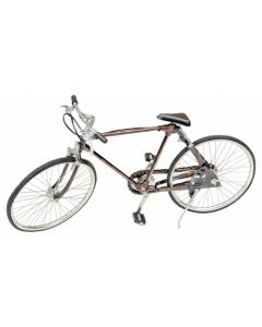 Model Bicycle