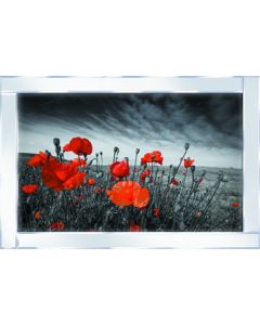 Red Flowers on Mirrored Frame