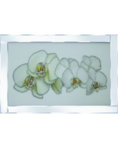 White Orchid on Mirrored Frame