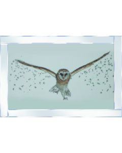 Flying Owl on Mirrored Frame