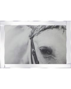 Palomino Eye on Mirrored Frame
