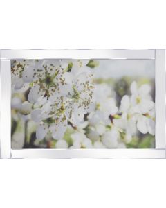 White Blossom on Mirrored Frame