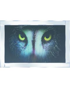 Great Grey Owl on Mirrored Frame 