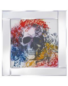 Multi Coloured Skull on Mirrored Frame