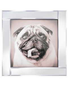 Pug on Mirrored Frame
