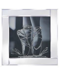 Ballet Shoes on Mirrored Frame