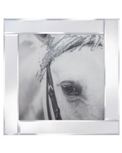 Palomino Eye on Mirrored Frame