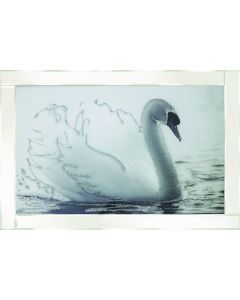 White Swan on White Frame