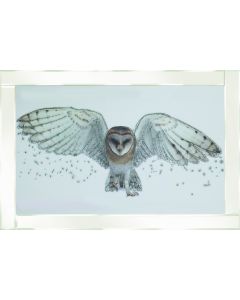 White Owl on White Frame